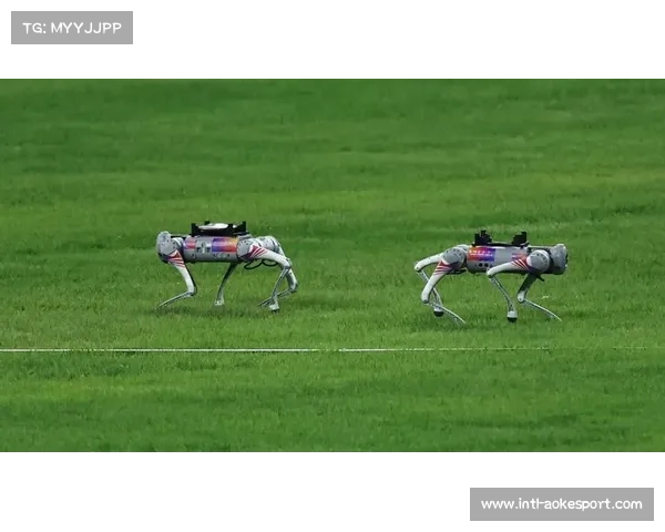 “智能亚运”成果转化 科技助力青少年体育培训与普及